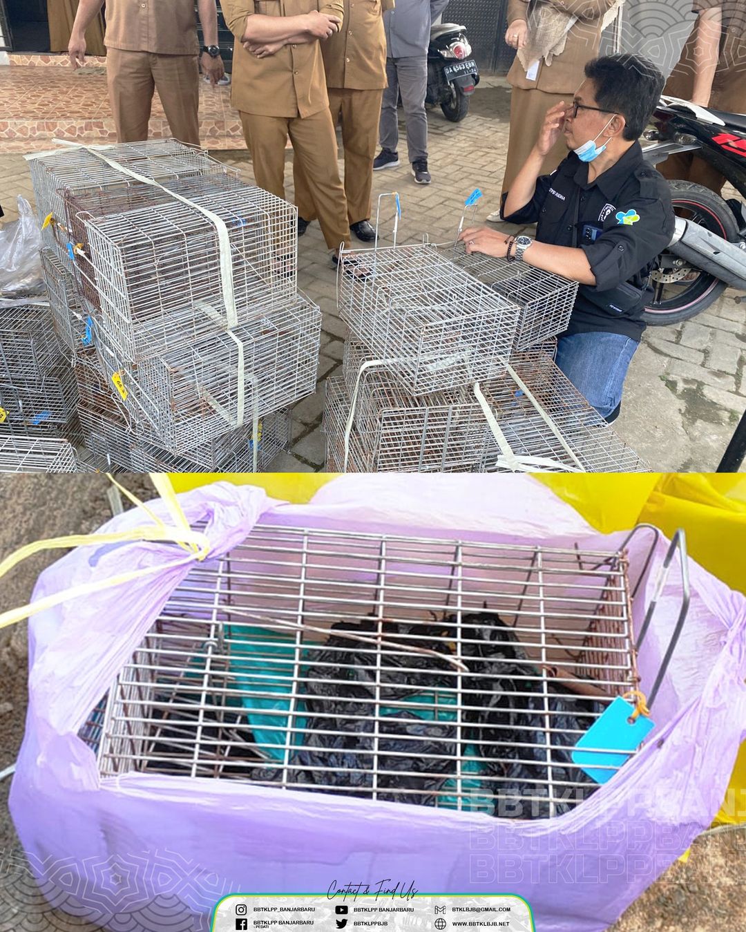 Surveilans Sentinel Tikus dan Deteksi Leptospirosis di Kabupaten Hulu Sungai Tengah